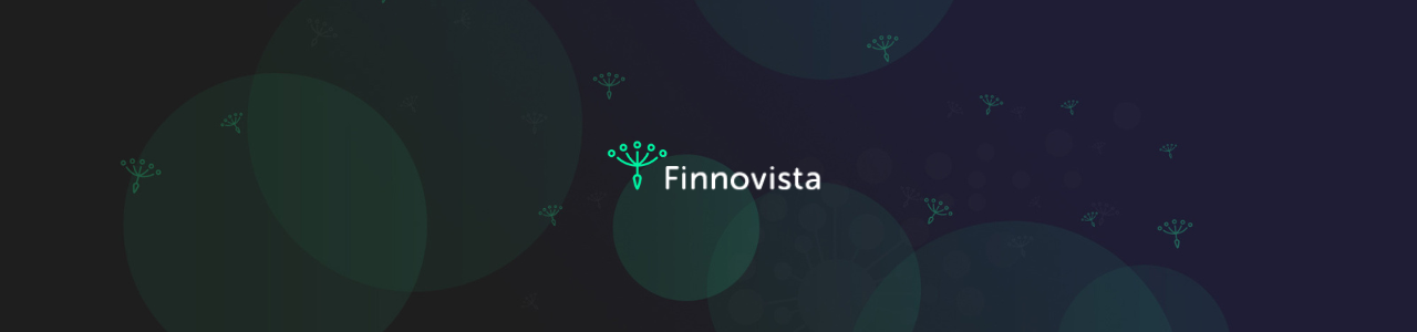 Finnovista