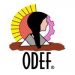 Partner Organization ODEF ONGD image of 