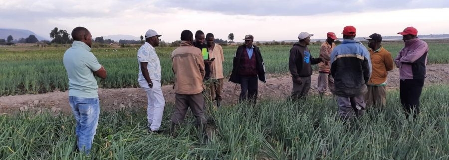 Cover image of Farmerce, Agritech venture on VC4A