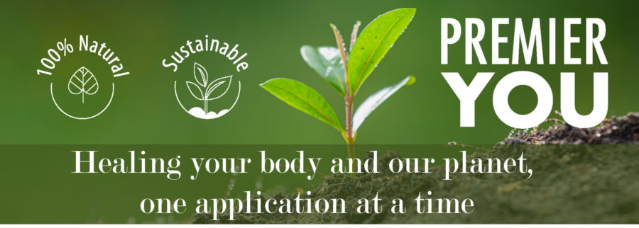 Cover image of Premier You, Healthcare venture on VC4A