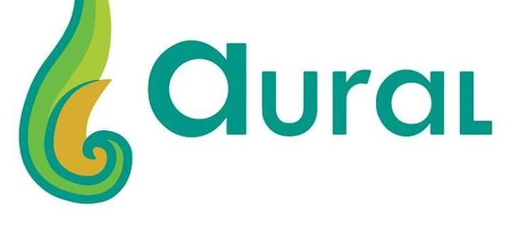 Cover image of AURAL, Technologies propres et énergie venture on VC4A