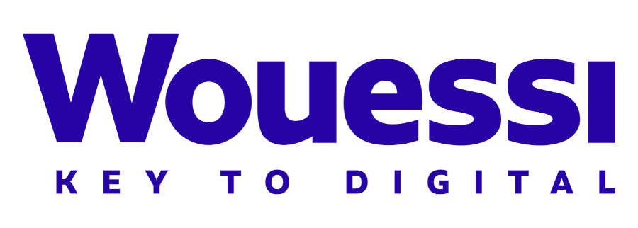 Cover image of Wouessi Ltd / Wouessi Inc., Information technology venture on VC4A