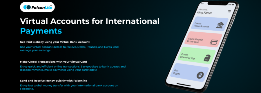 Cover image of Falconlite, Financial services venture on VC4A