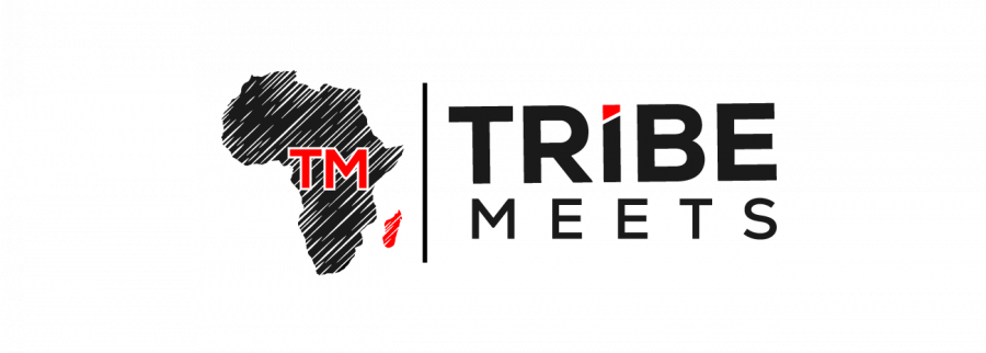 Cover image of TribeMeets, Creative, media and entertainment venture on VC4A