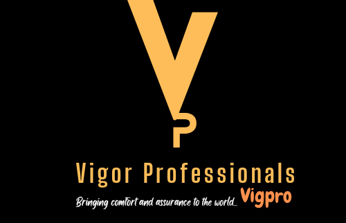 Cover image of Vigor professionals, Healthcare venture on VC4A