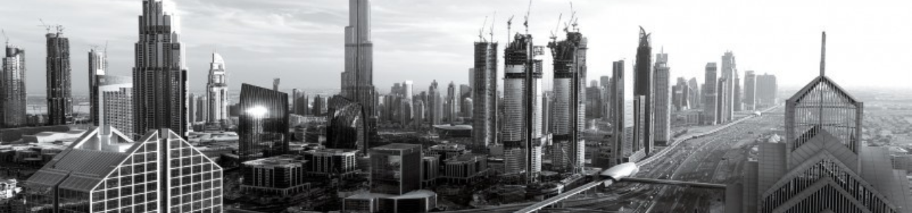 Middle East Venture Capital Association – MEVCA