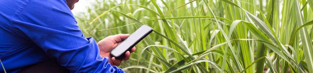 GSMA AgriTech Accelerator