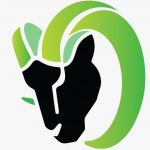 Logo of Odhiya, Specialty retail venture on VC4A