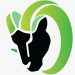 Venture Profile Odhiya image of AppIcon