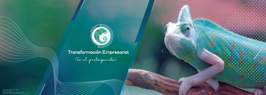 Cover image of Transformación Empresarial, Business services venture on VC4A