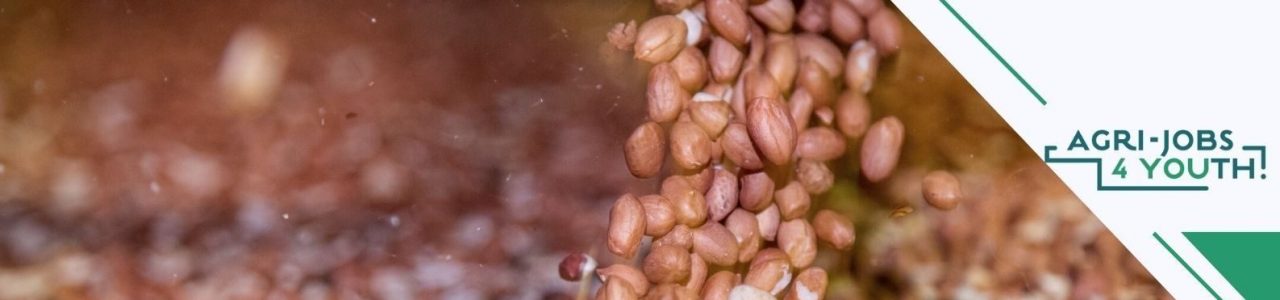 Pepea Na AgriBiz-Agrijobs4Youth