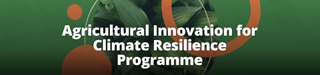 Agricultural Innovation for Climate Resilience Program