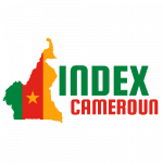 Logo of Index Cameroun, Arts venture on VC4A