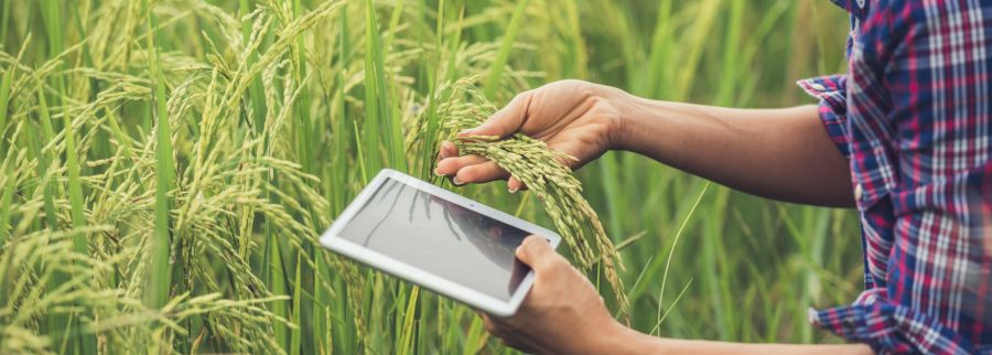 Cover image of Soft power Agro tech, Agribusiness venture on VC4A