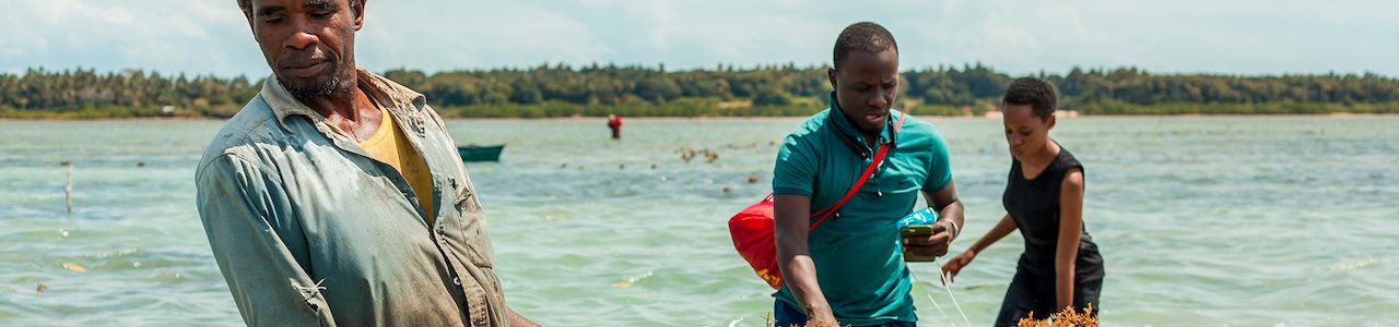 Share your agribusiness journey with the GoGettaz Community