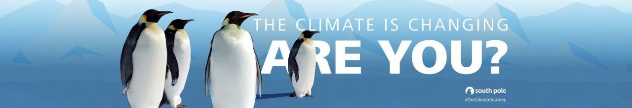 Programa de desarrollo de activos créditos de carbono del South Pole Q2 2023