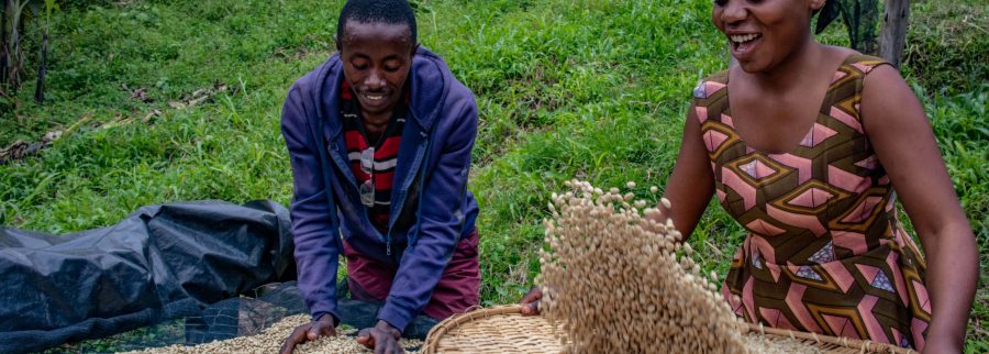 Cover image of Alpha-New SARL, Agribusiness venture on VC4A