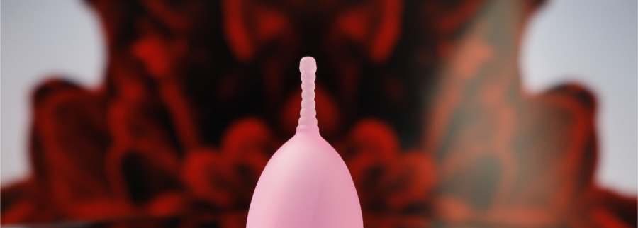 Cover image of Corporación Hera: Aletse’s Cup, Higiene venture on VC4A