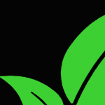 Logo of WEGE Company, Environmental services venture on VC4A