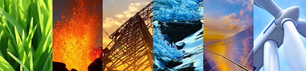 International Renewable Energy Agency (IRENA)