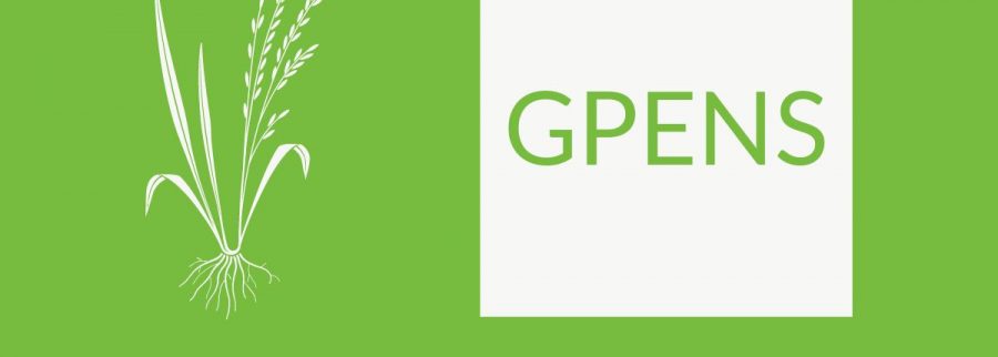 Cover image of Golden Primega Enterprises Nigeria Services, Agribusiness venture on VC4A