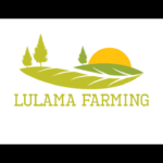 Logo of Lulama farming, Accounting services venture on VC4A