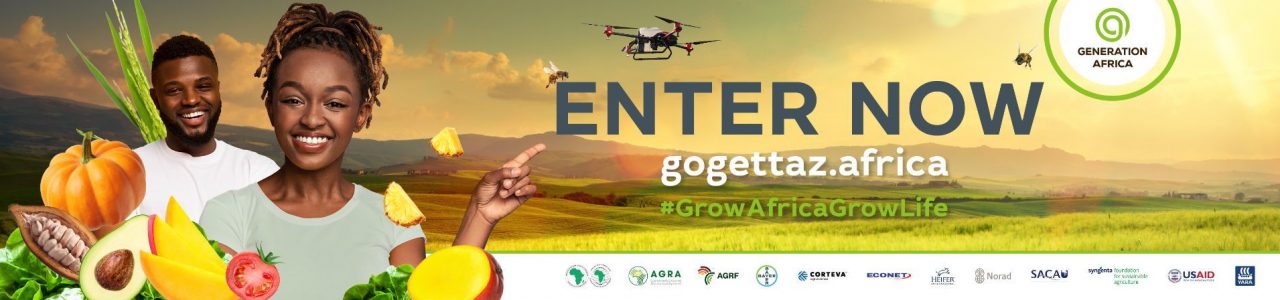 Unleashing your potential: Generation Africa Competitions Spotlight