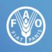 Partner Program Youth Hackathon for Green Low-Carbon Agriculture 2023 image of N