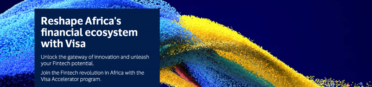 Visa Accelerator Program 2023