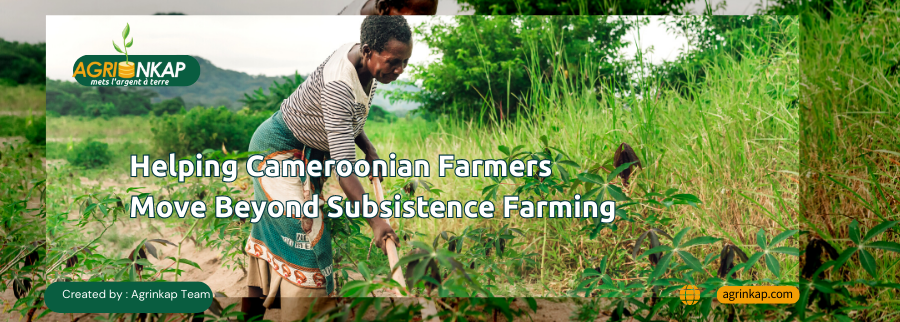 Cover image of AgriNkap, Agribusiness venture on VC4A