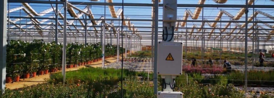 Cover image of AgriLogiq, Agritech venture on VC4A