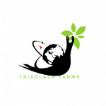 Logo of Trisolace Company Limited, Agribusiness venture on VC4A