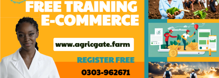Cover image of Trisolace Company Limited, Agribusiness venture on VC4A