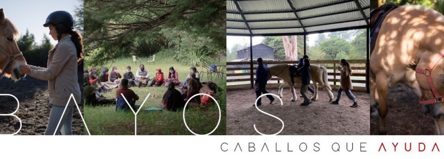 Cover image of Fundación Bayos, Healthcare providers and services venture on VC4A