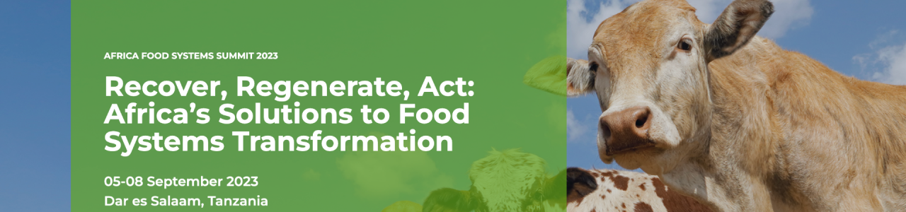 Africa Food Systems Summit 2023