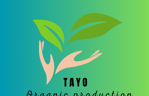 Cover image of Tayo production vegetable and fruit, Crop farming venture on VC4A