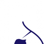 Logo of FASZ Legal Consultancy CC, Information technology venture on VC4A