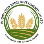 Logo of Bugiri Crop Kings Investments (u) Ltd, Agribusiness venture on VC4A