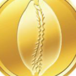 Logo of Kori Tech, Financial services venture on VC4A