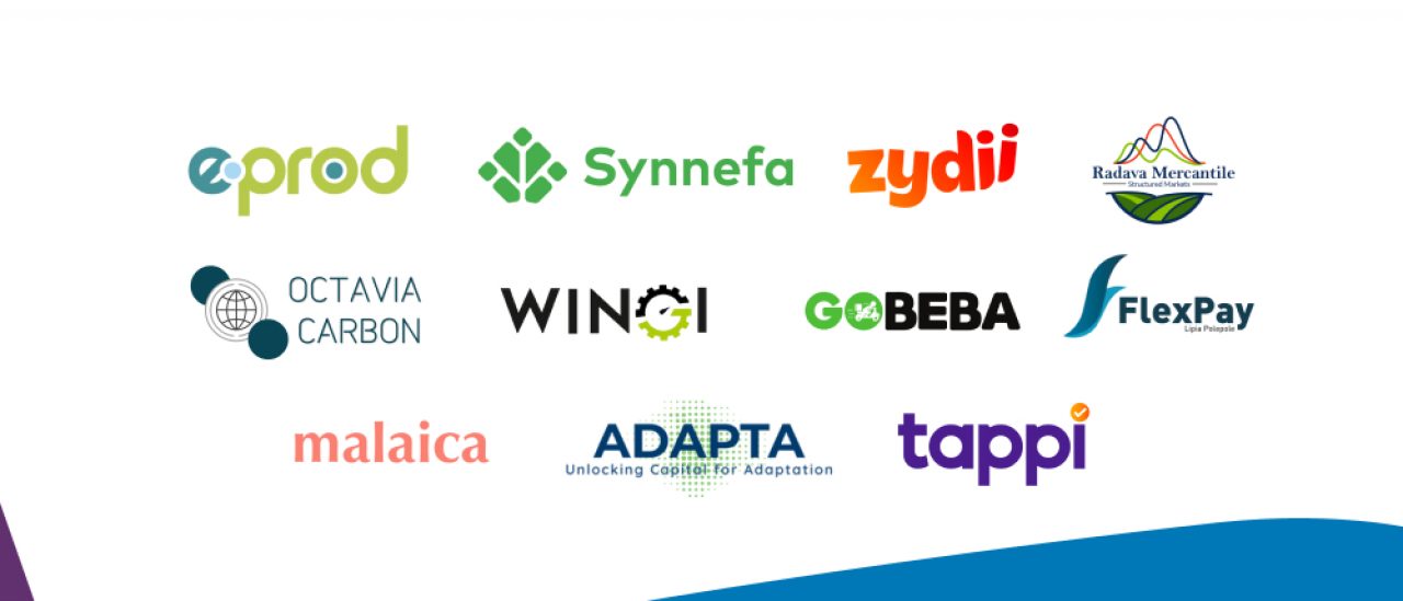 Post Profile Private: 11 Kenyan start-ups selected to pitch at the develoPPP Ventures Ideas Competition image of DeveloPPP Finalists BLOG Kenya