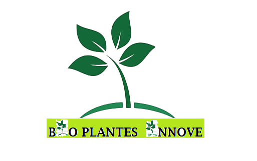 Cover image of BIO Plantes Innove SARL, Crop farming venture on VC4A