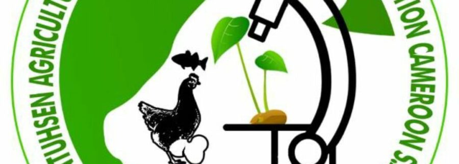 Cover image of Naldccam, Agribusiness venture on VC4A