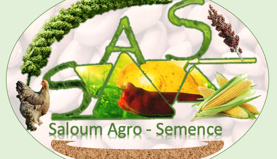 Cover image of Saloum Agro Semence Innovation (Sas-Iinov), Animal farming venture on VC4A