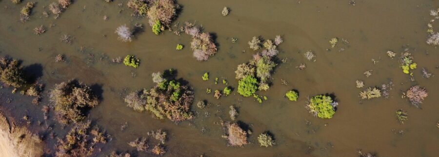 Cover image of Blue and Green Water Guardians, Environmental services venture on VC4A
