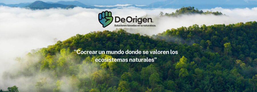 Cover image of De Origen, Agribusiness venture on VC4A