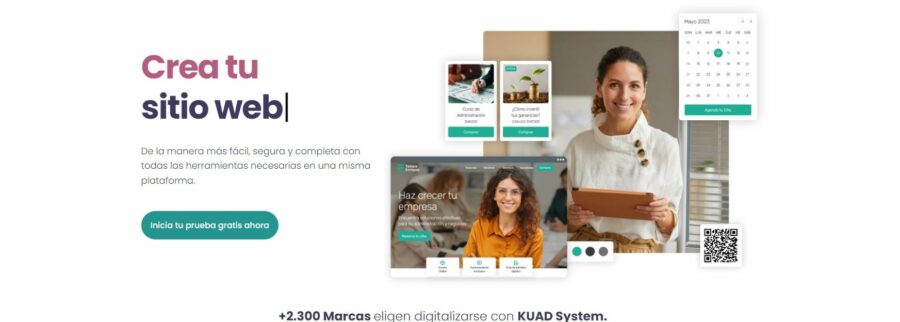 Cover image of KUAD System, Business services venture on VC4A