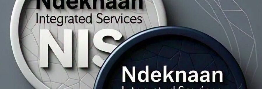 Cover image of Ndeknaan Integrated Services Ltd NIS, Furniture venture on VC4A