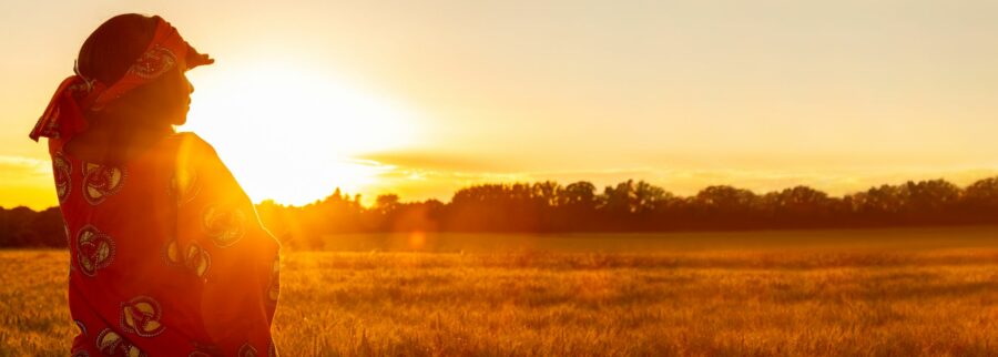 Cover image of Aequatore, Animal farming venture on VC4A