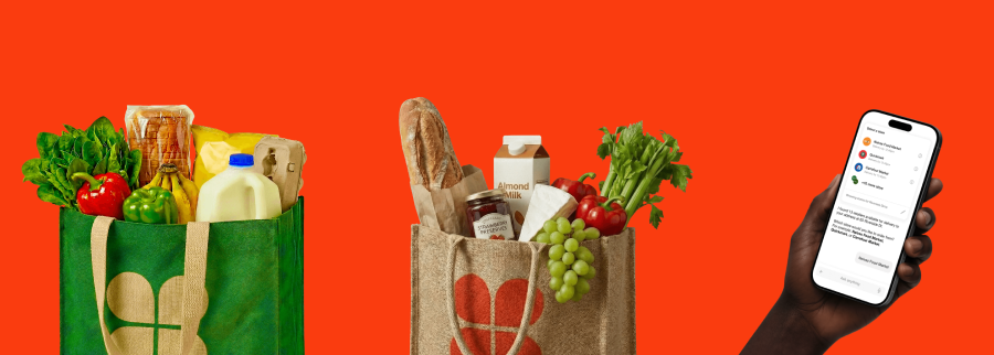 Cover image of Instagrocer, E-commerce venture on VC4A