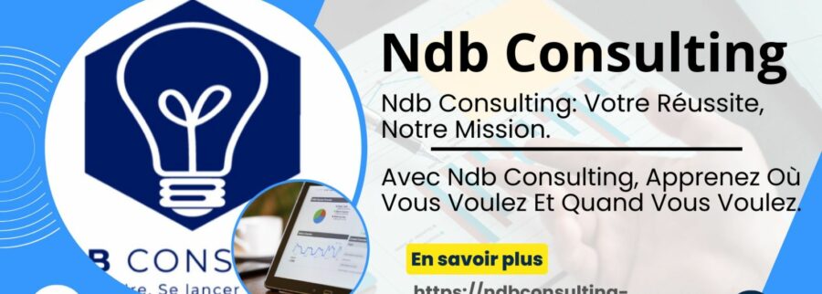 Cover image of NDB Consulting, Services éducatifs venture on VC4A